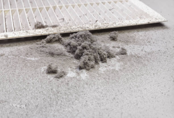 Best Affordable HVAC Duct Cleaning  in Adamstown, PA